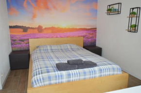Modern and private studio with all comfort!